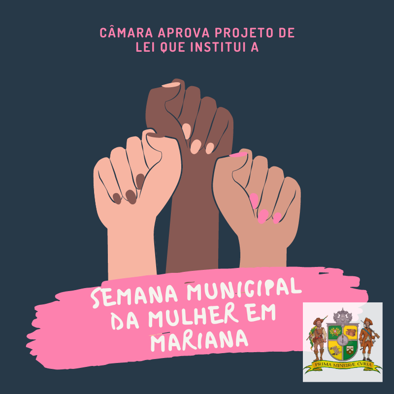 Câmara aprova PL que institui a Semana da Mulher no Municípi