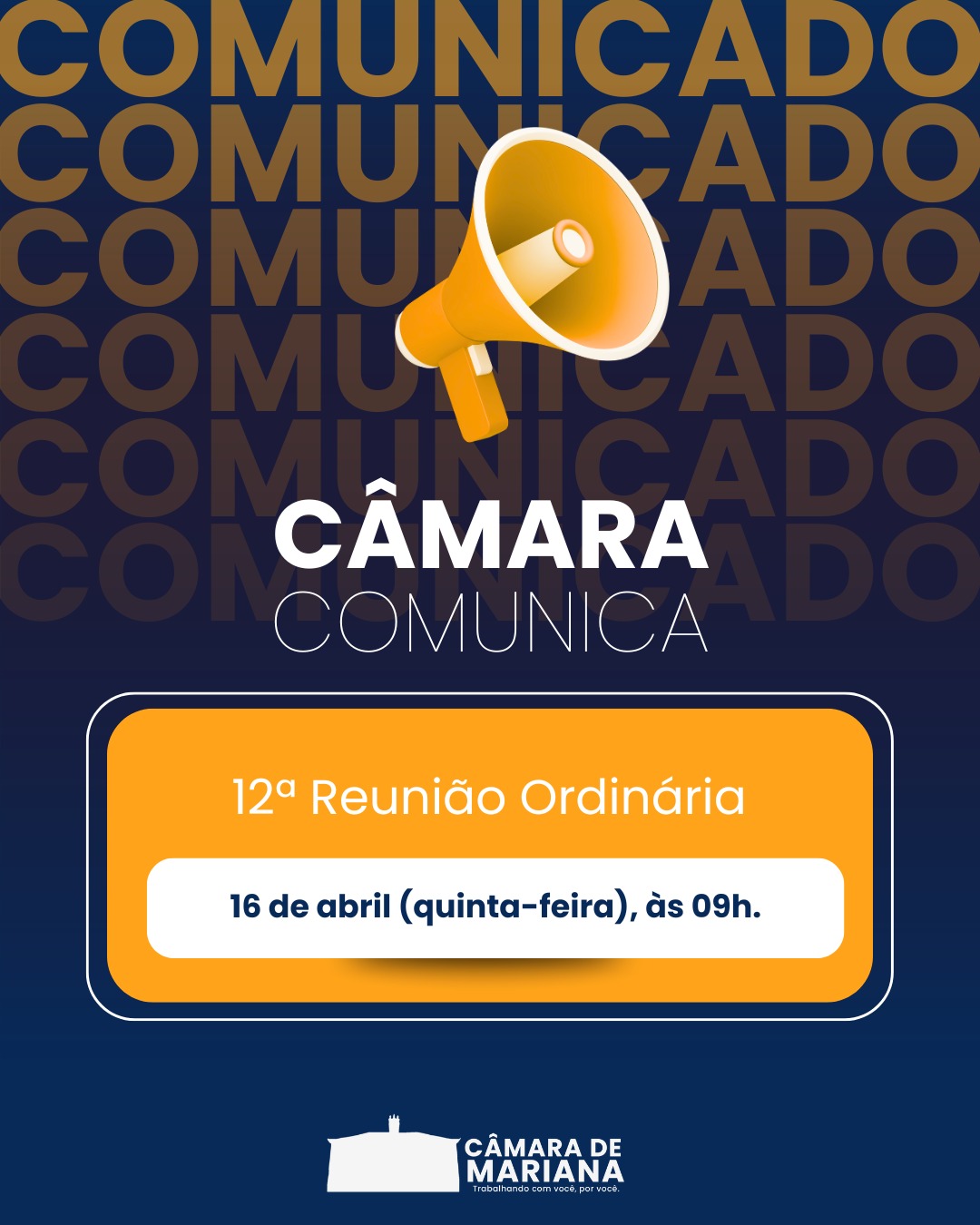 12ª Reunião Ordinária da Câmara de Mariana