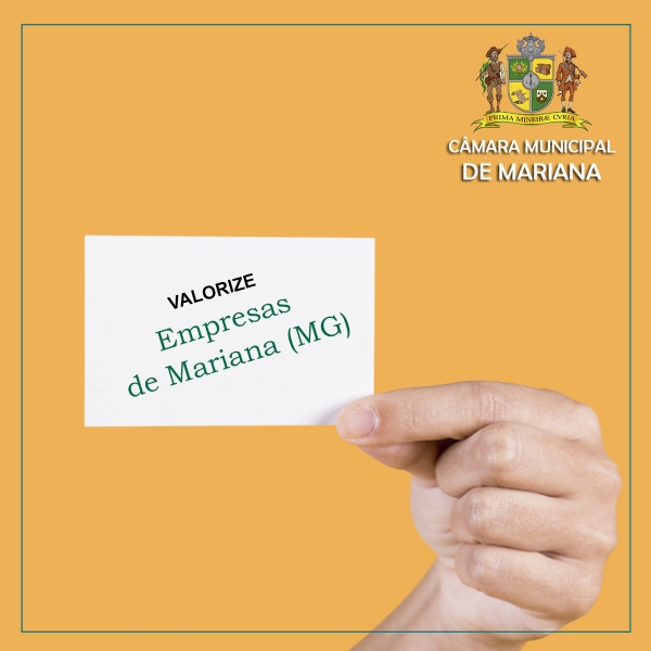Câmara aprova requerimento para valorização de empresas locais