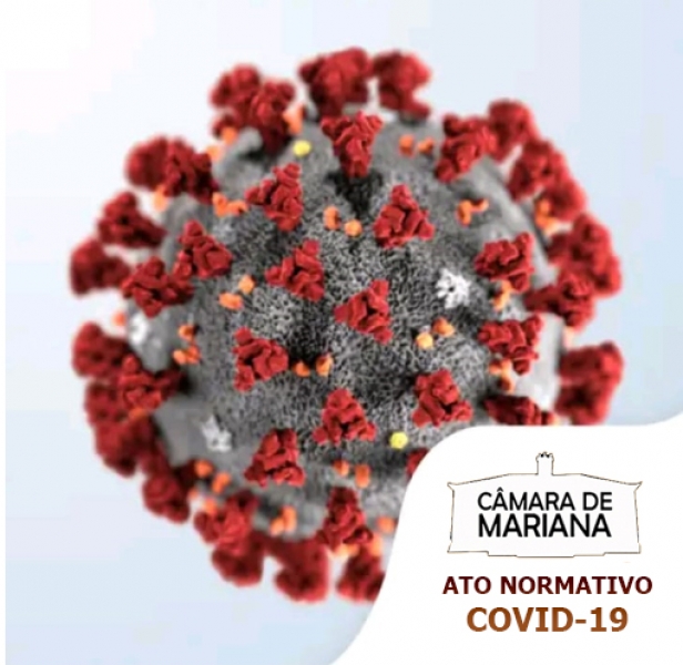 Câmara de Mariana regulamenta medidas preventivas à disseminação do COVID-19
