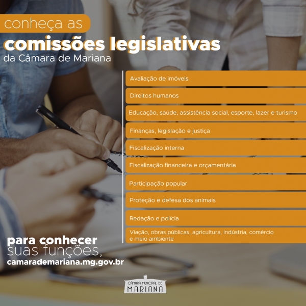 Conheça as comissões legislativas e suas funções